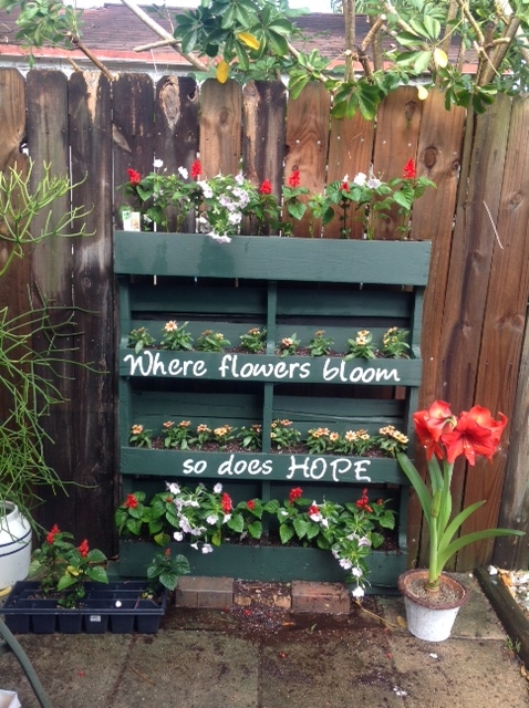 pallet vertical garden