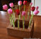 tulip centerpiece from 2x4 lumber